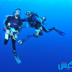 غواصی کیش